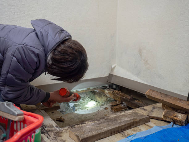 Best Dehumidification Services  in Sunman, IN