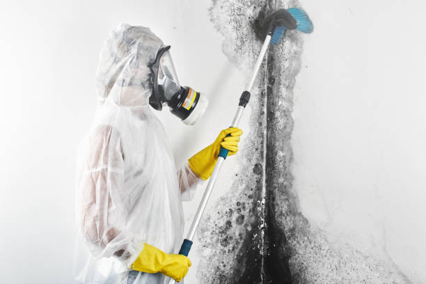 Best Real Estate Mold Inspection  in Sunman, IN