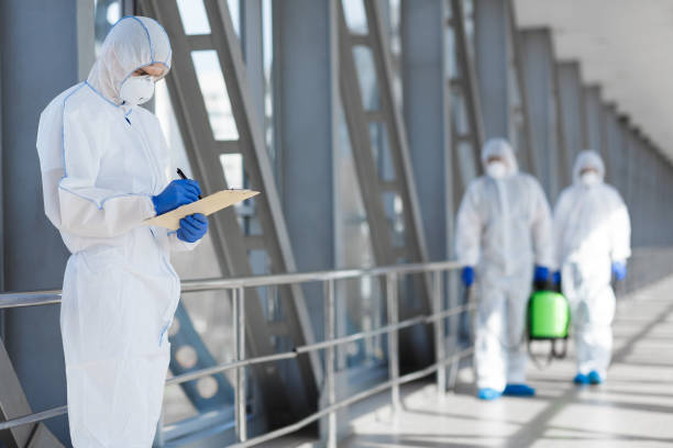 Best Emergency Mold Remediation  in Sunman, IN