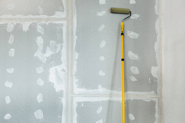 Best Mold Odor Removal Services  in Sunman, IN