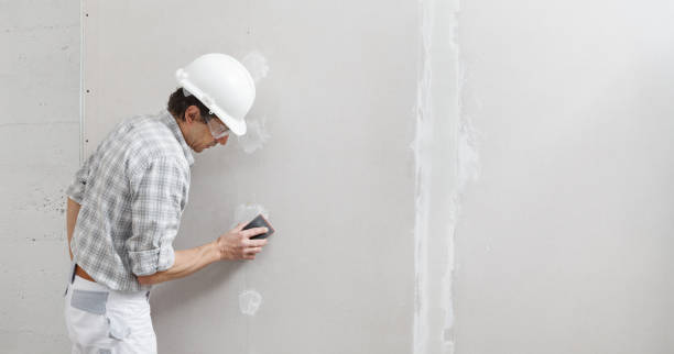 Best Basement Mold Removal  in Sunman, IN