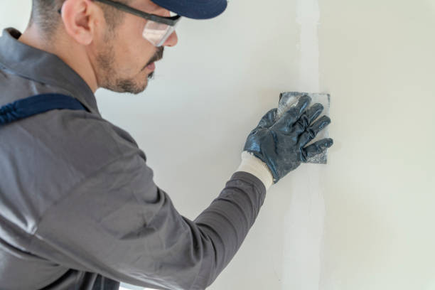 Best Attic Mold Removal  in Sunman, IN