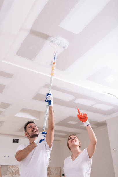 Mold Odor Removal Services in Sunman, IN