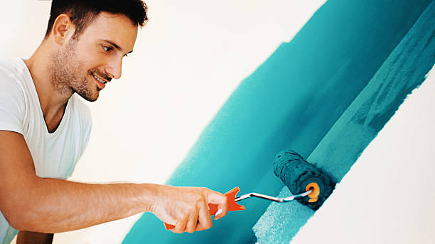 Sunman, IN Mold Removal Company