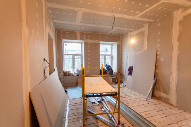 Best Emergency Mold Remediation  in Sunman, IN